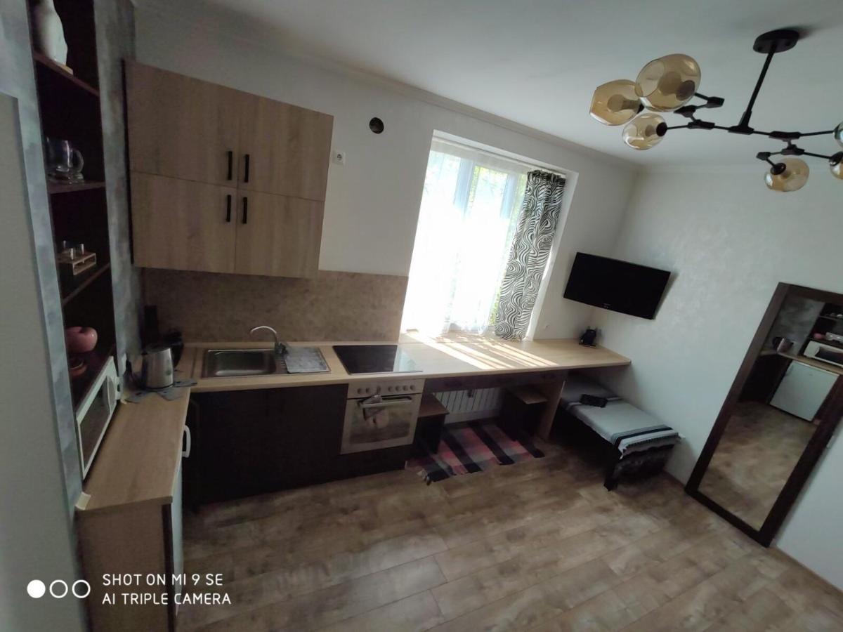 Однокімнатна Квартира-Студія Біля Парку Шевченка Ivano-Frankivsk Extérieur photo